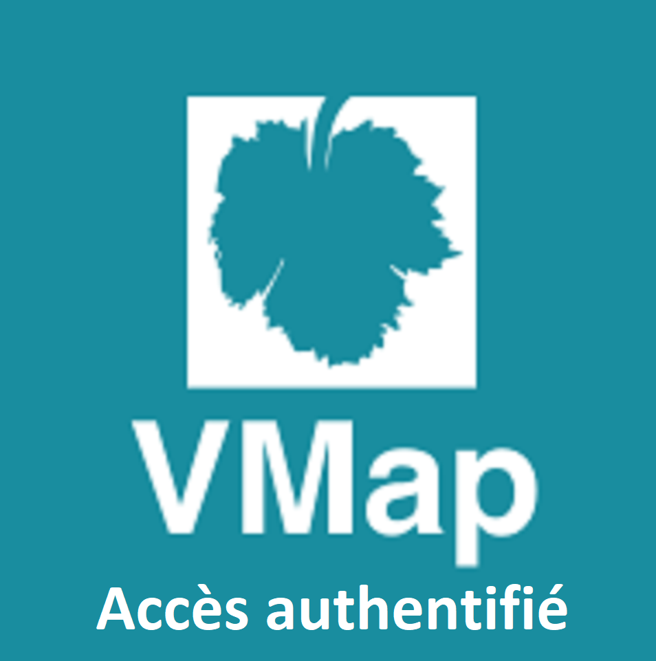 Icone vMap